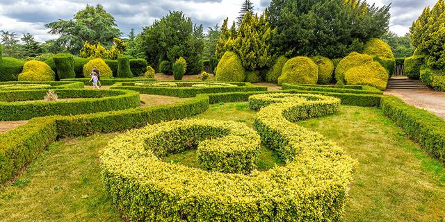 011 Elvaston Trees Topiary Gardens 002 933197319