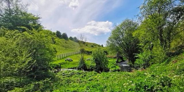 The Water Mill: Picnic area