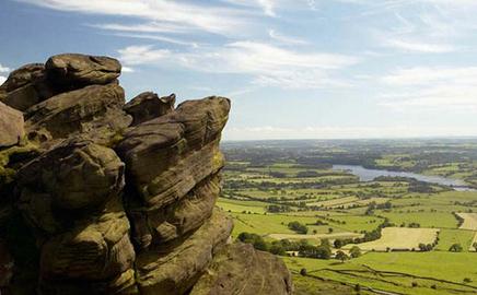 1220 roaches 1202186108