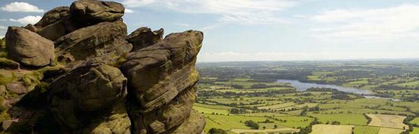 1220 roaches 1202186108