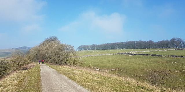 20190223 115617 1824850527