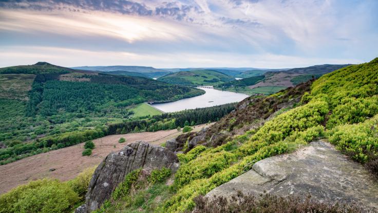 2022 08 27 Canon SX 018 12