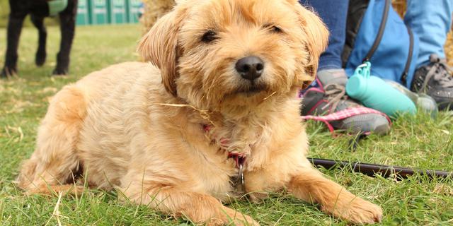 457592555 1226548328771630 3195622385519374044 n