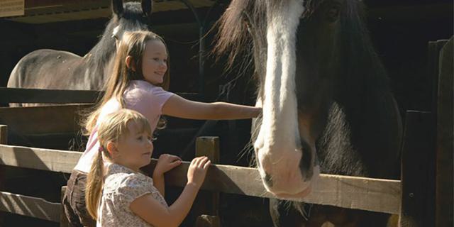 55 A6 E702590640 E25 A4544 DA38 E1 B2 C09779 D1 E2