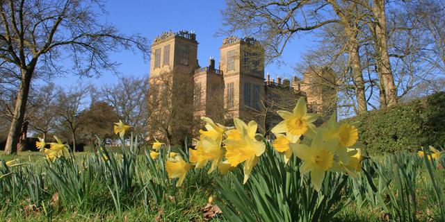 8 JR Hardwick new 1052246864