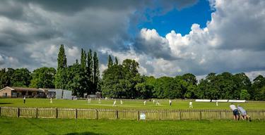 Alfreton Park Cricket 001 1 93121670