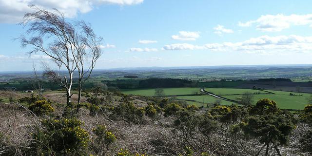 Alport Height 331012489