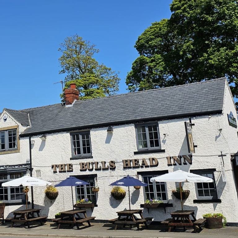 Band B Bulls Head 768