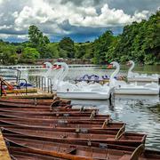 Belper River Gardens Boats 001 234353250