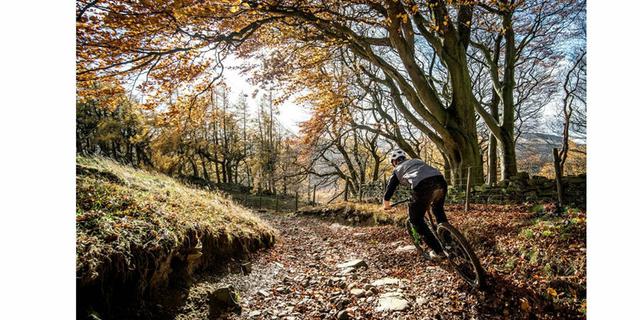 Bike Garage 11 new 1937516064