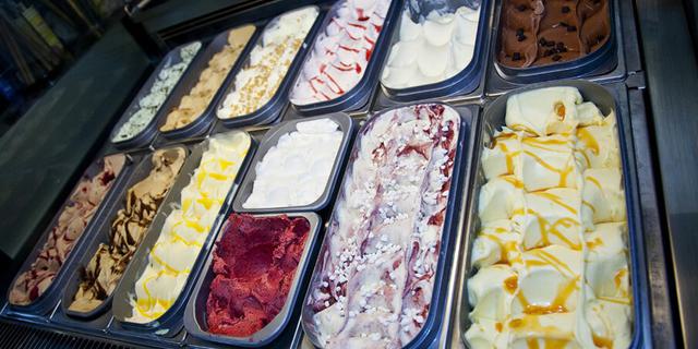 Bluebells Farm 8 new 203154173