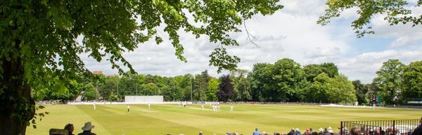 BRM Chesterfield Festival of Cricket