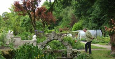 Cascade Gardens Bonsall 1 1438144319