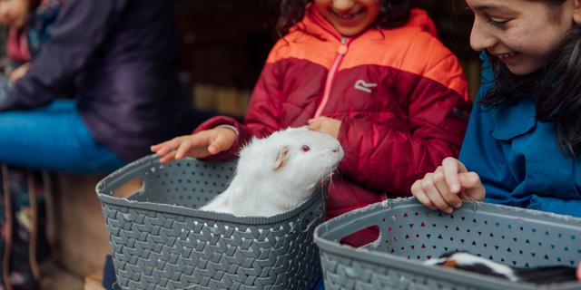 Chatsworth Helena Dolby 2209