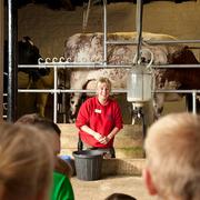 Chatsworth Farmyard 1new 834419486