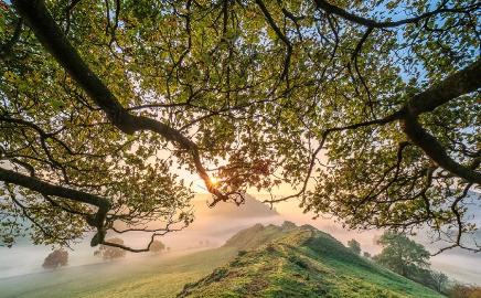 Chrome Hill 442 itin