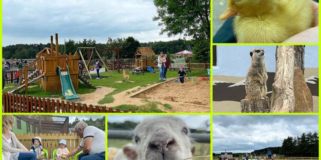 Collage to Chesterfield UK 670175684