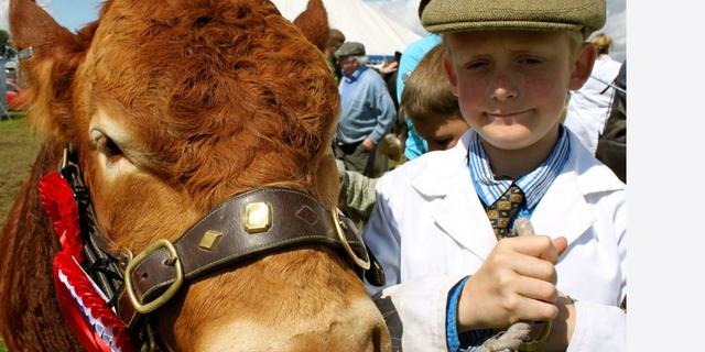 Derbyshire Country show 2024 boy