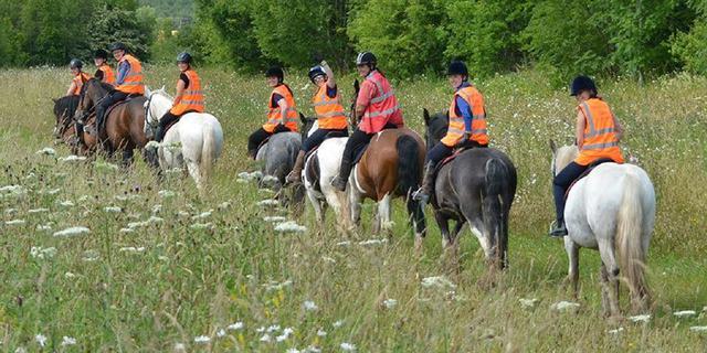 Derbyshire Pony Trekking pub ride 1435566507
