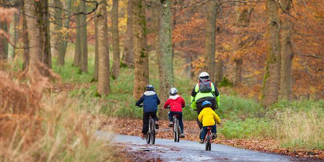 Derwent Cycle H Ire autumn 1220 x 620 2092991845