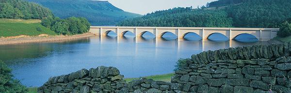 VPDD Standard Derwent Valley Lady Bower1 1 1548350618