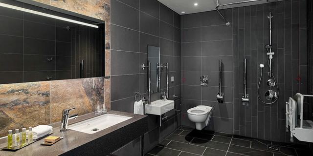 Doubletree 12 173249077