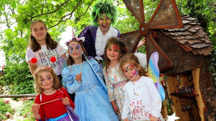 Enchanted Fairy Forest