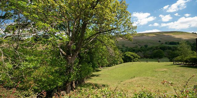 Haddy View 1781244582