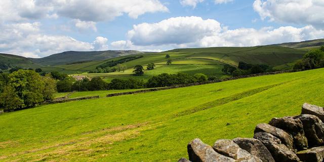 Hayfield C C Site view resized 2060462677