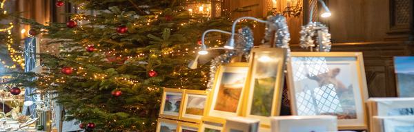 Mercatum market xmzs