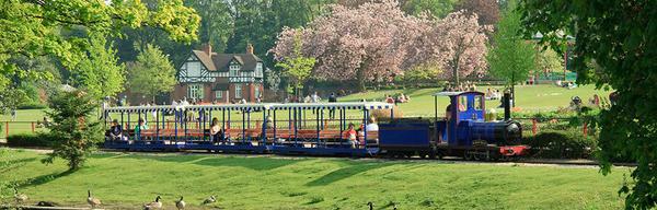 Miniature Train 1888273600