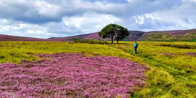 Myguidedwalks8 1306911478