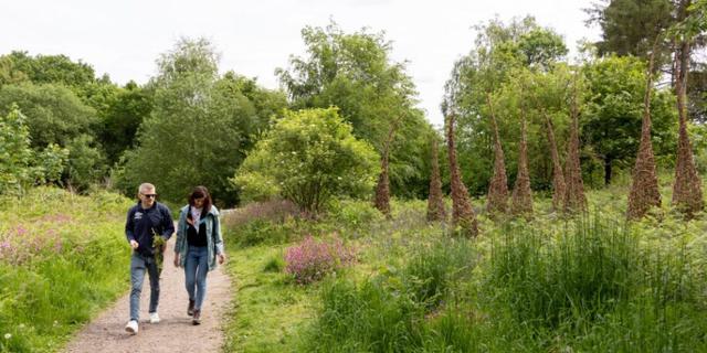 National Forest Walking Festival 2024 2jpg