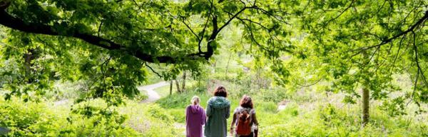 National Forest Walking Festival 2024