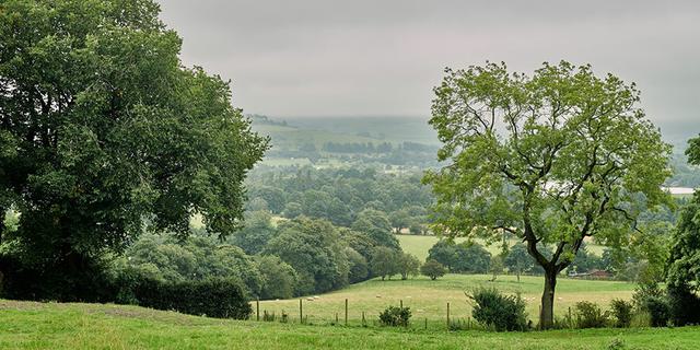 Naze View 1new 605329802