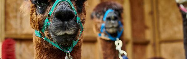 Naze view 2new 140317738