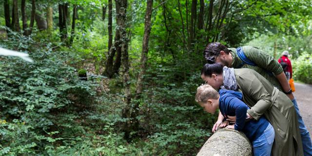 NT Longshaw 2 new 1131894690