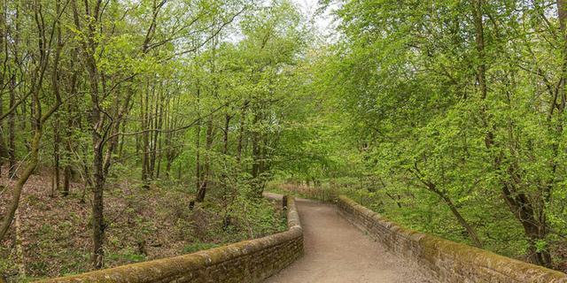 NT Longshaw 7 kev dunnington new 1419182612