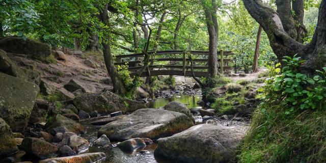 Padley Gorge