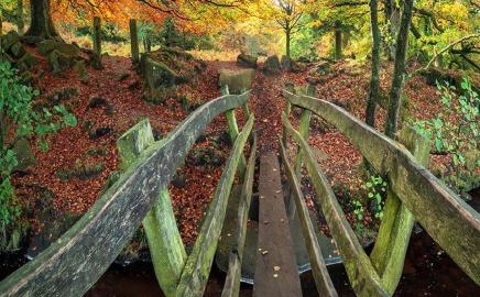 Padley Gorge credit Stephen Elliott