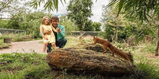 PWP Walk through red squirrels