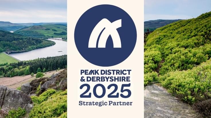 Strategic banner 2025