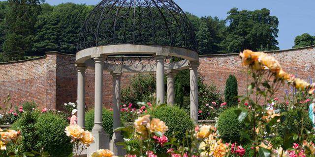 Summer Gardens Hopton Hall