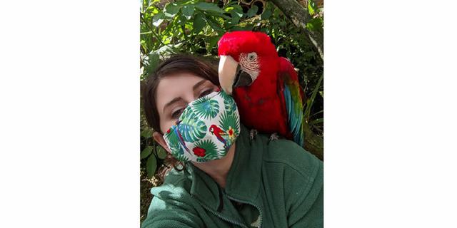 TBH 3 egg 1224598797