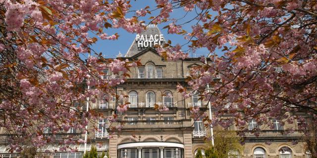 T He Palace Hotel cherry blossom NEW