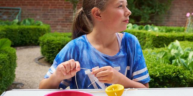 The Silk Mill Pickford s Plot activity 412645833