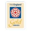 VE Gold Award
