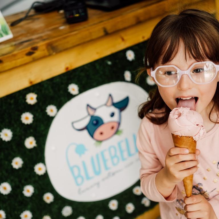 Visitor Attraction Bluebell 768