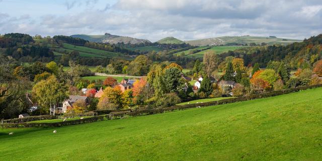 VPDD Banner Ashbourne
