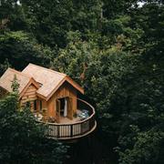 Callow Hall Hive Shot